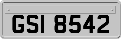 GSI8542