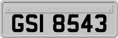 GSI8543