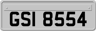 GSI8554