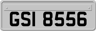 GSI8556