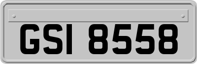 GSI8558