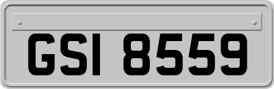 GSI8559