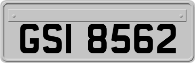 GSI8562