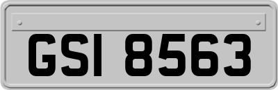 GSI8563