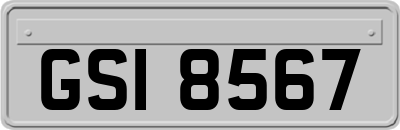 GSI8567