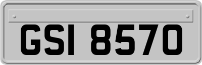 GSI8570