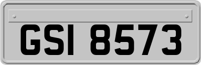 GSI8573