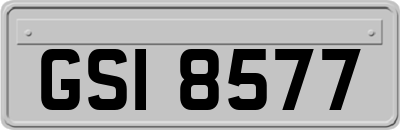 GSI8577