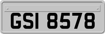 GSI8578