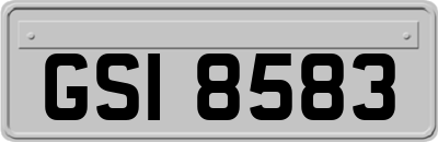 GSI8583
