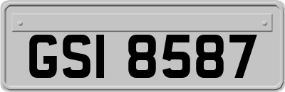 GSI8587