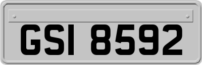 GSI8592