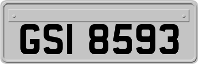 GSI8593