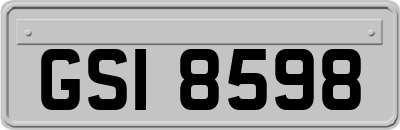 GSI8598