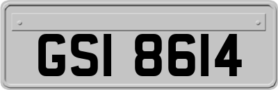 GSI8614