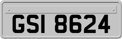 GSI8624