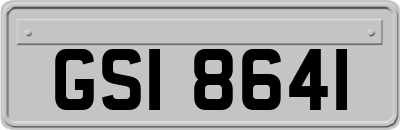 GSI8641