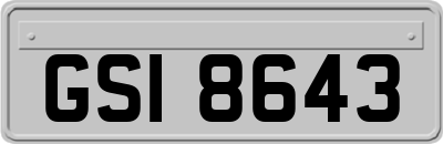 GSI8643
