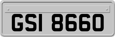 GSI8660