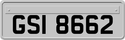 GSI8662