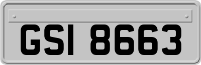 GSI8663