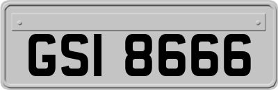 GSI8666