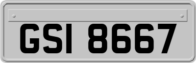 GSI8667