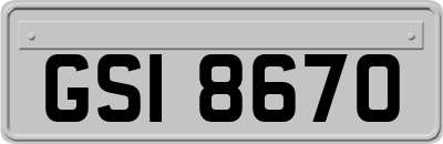 GSI8670