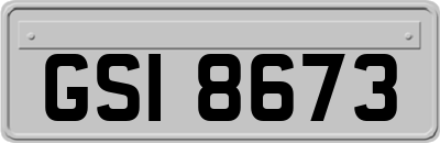 GSI8673