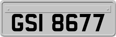 GSI8677