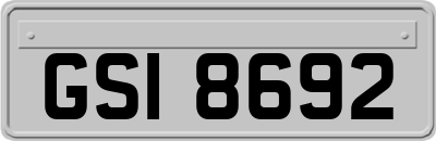 GSI8692