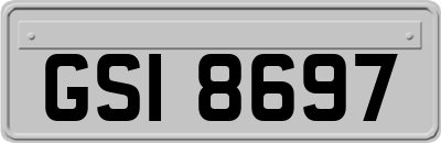 GSI8697