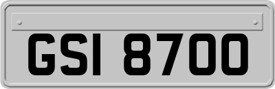 GSI8700