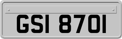GSI8701