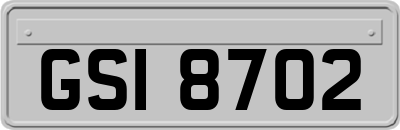 GSI8702