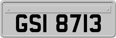 GSI8713