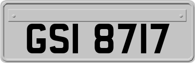 GSI8717