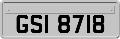 GSI8718