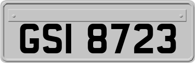 GSI8723