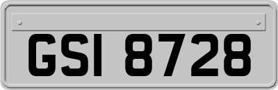 GSI8728