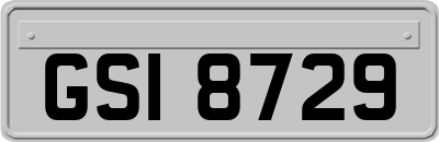 GSI8729