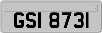 GSI8731