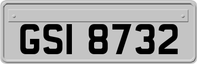 GSI8732