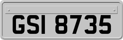 GSI8735