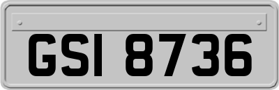 GSI8736