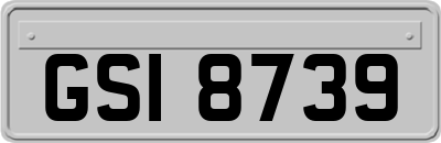 GSI8739
