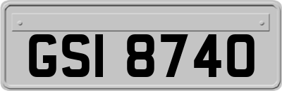 GSI8740