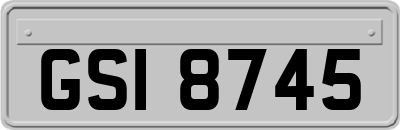 GSI8745