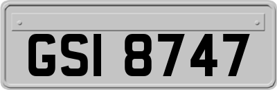 GSI8747