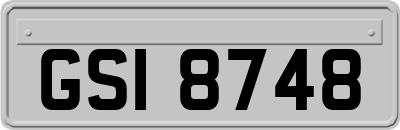 GSI8748